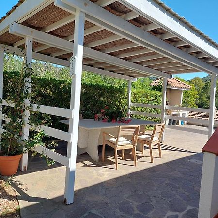B&B La Casa degli Ulivi Procchio  Esterno foto