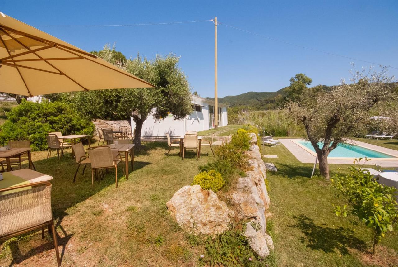 B&B La Casa degli Ulivi Procchio  Esterno foto